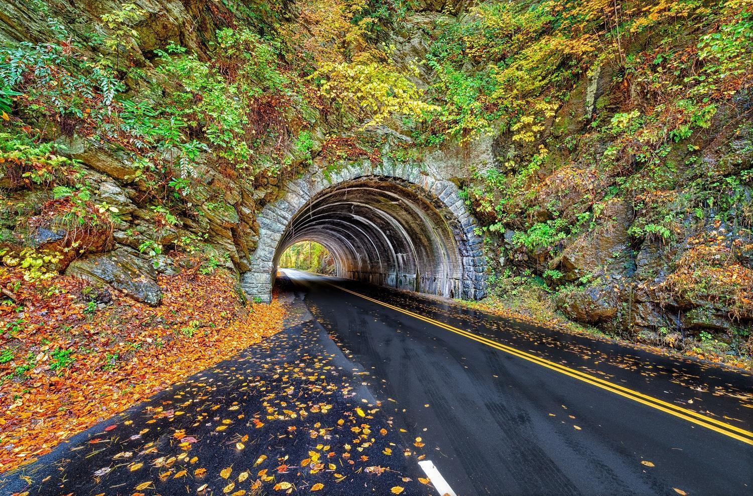 Time To Cuddle, Wifi, Near Pigeon Forge, 1089 Free Tickets Each Paid Day, Dollywood And More Экстерьер фото